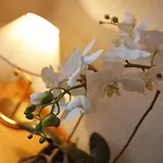 蒙特罗萨酒店 基亚瓦里